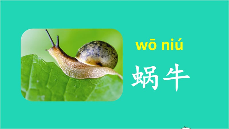 【最新】14 小蜗牛课件.ppt_第2页