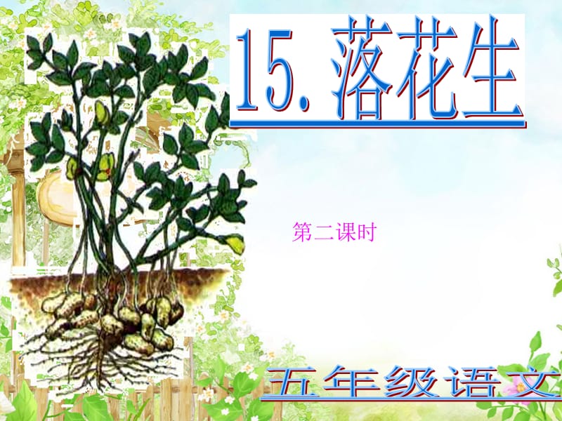 落花生ppt .ppt_第1页