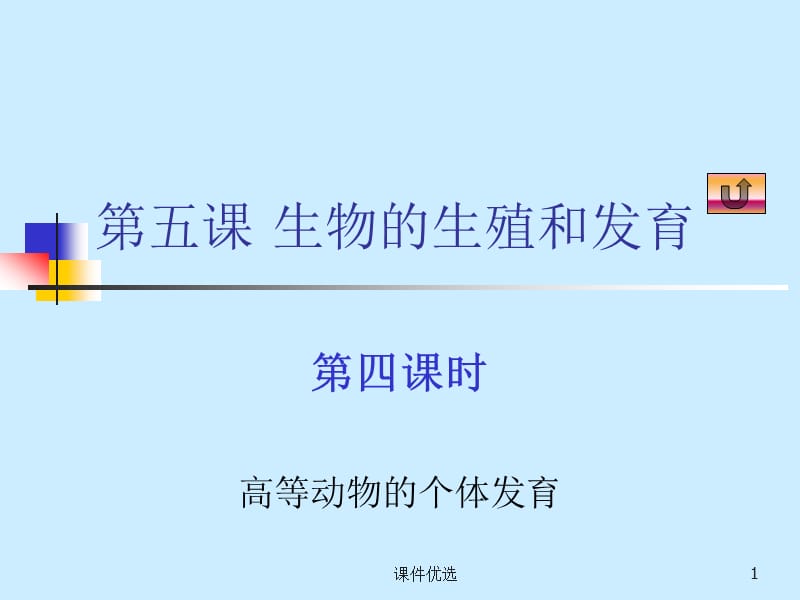 外胚层、中胚层和内胚层[行业内容].ppt_第1页