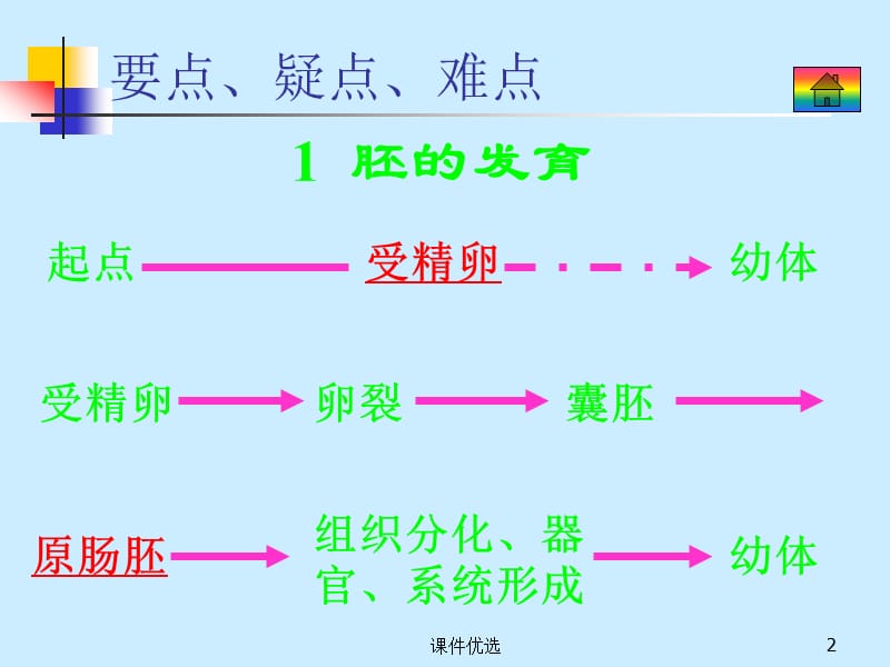 外胚层、中胚层和内胚层[行业内容].ppt_第2页