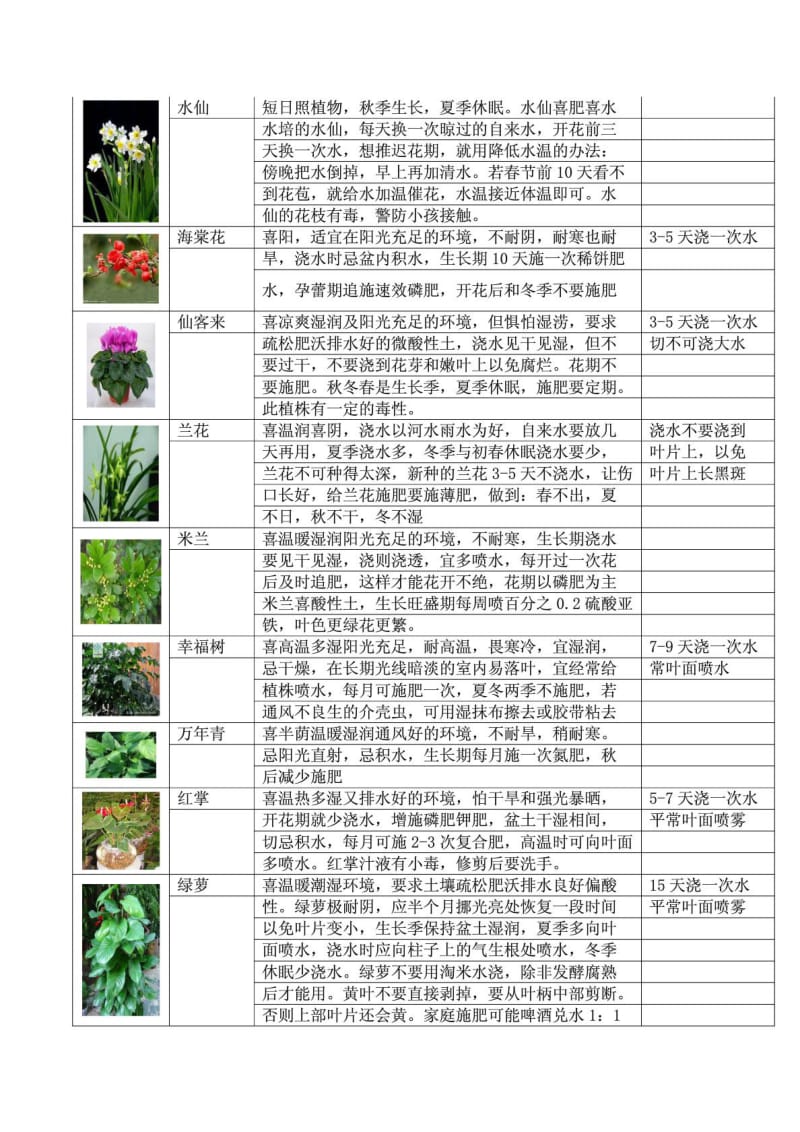 常见家庭花卉养护.doc_第2页