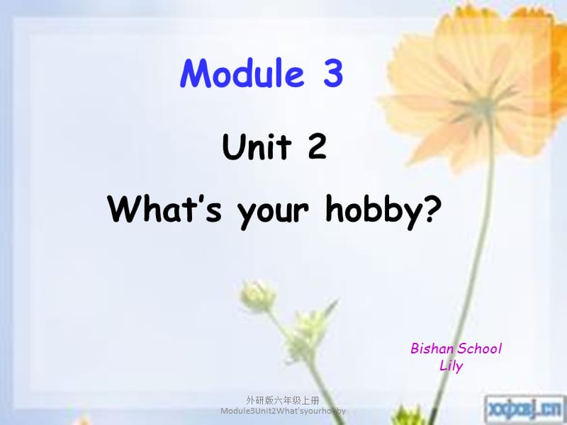 外研版六年级上册Module3Unit2What'syourhobby课件.pptx_第1页