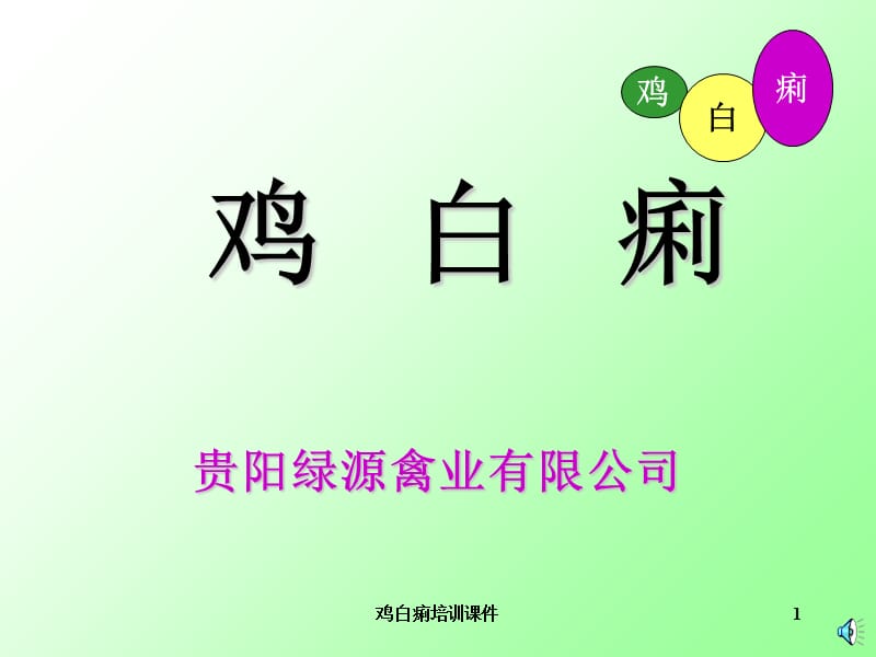 鸡白痢培训课件.ppt_第1页