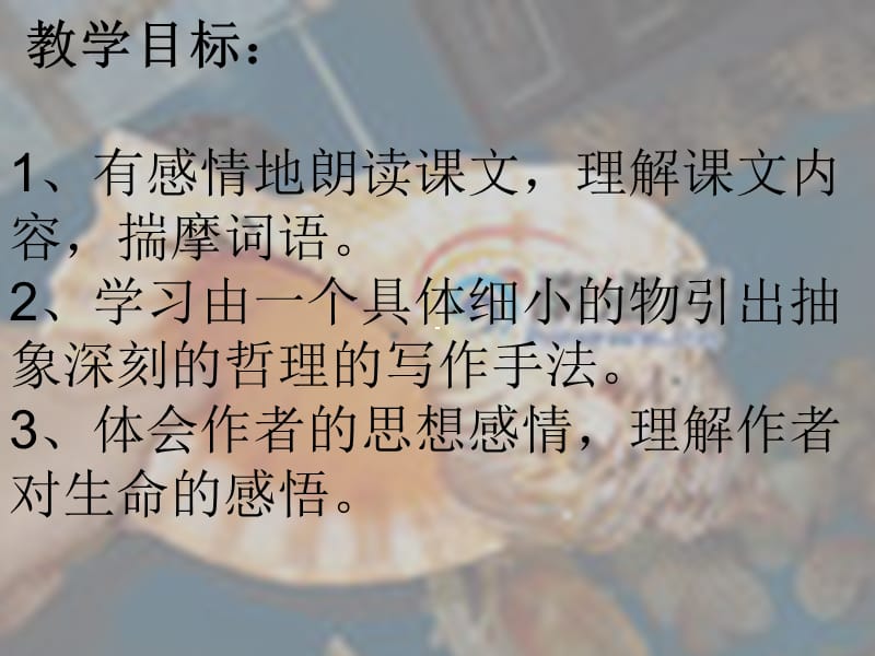 人教版七年级语文上册《四单元阅读18 .短文两篇贝壳》优质课课件_17.ppt_第2页