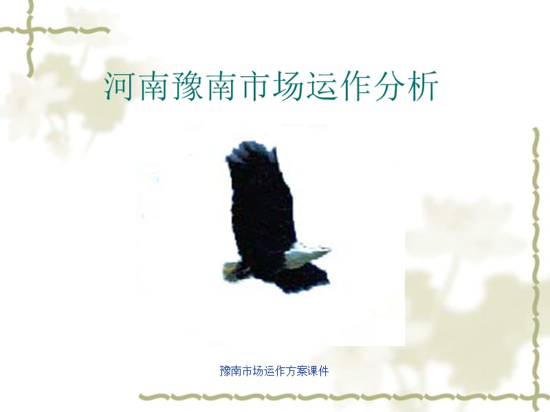 豫南市场运作方案课件.ppt_第1页