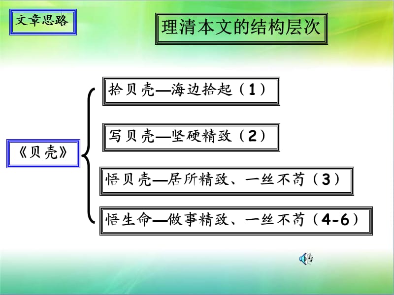 人教版七年级语文上册《四单元阅读18 .短文两篇贝壳》优质课课件_16.ppt_第3页