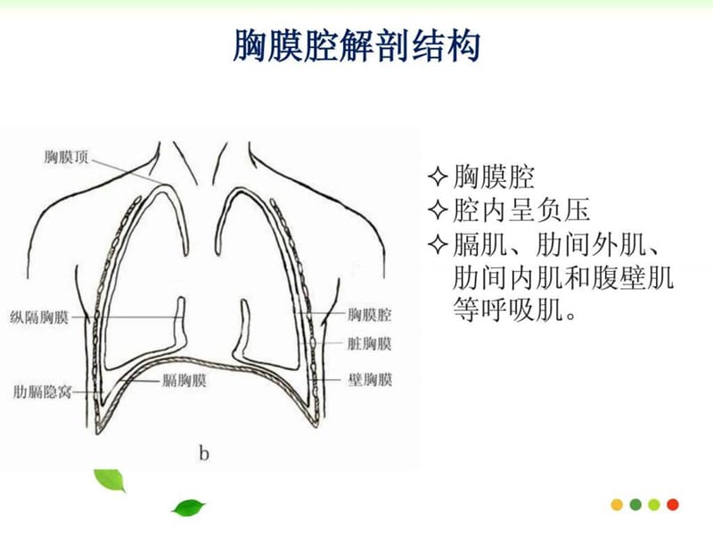 胸腔闭式引流技术课件.ppt_第3页