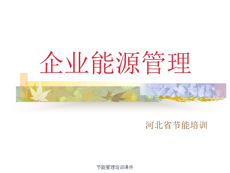 节能管理培训课件.ppt_第1页