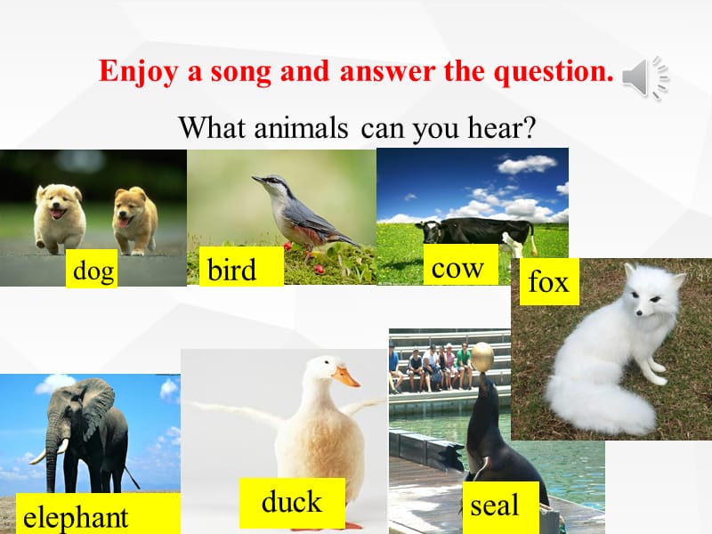 人教版七年级英语下册《nit 3 Why do you like koalas.Unit 3 Why do you like koalas.（通用）》课件_7.ppt_第1页