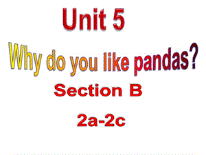 人教版七年级英语下册《nit 5 I’m watching TV.Section B》课件_5.ppt