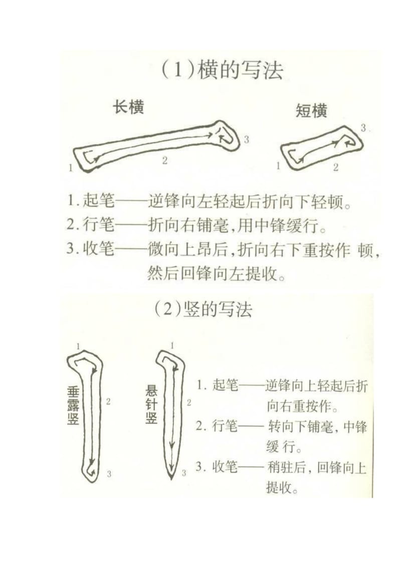 毛笔字基本笔画及常用字练习.doc_第1页