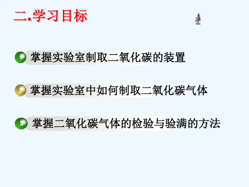 化学人教版九年级上册二氧化碳的实验室制取和性质.pdf_第2页