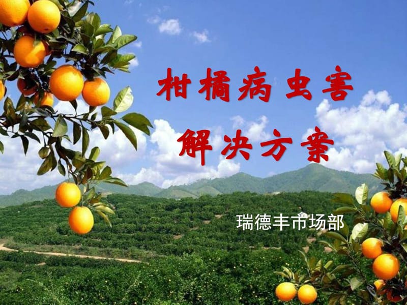 柑橘解决方案课件.ppt_第2页