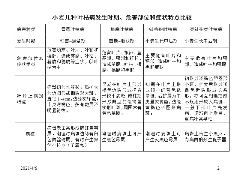 小麦叶枯病-文档资料.ppt_第2页