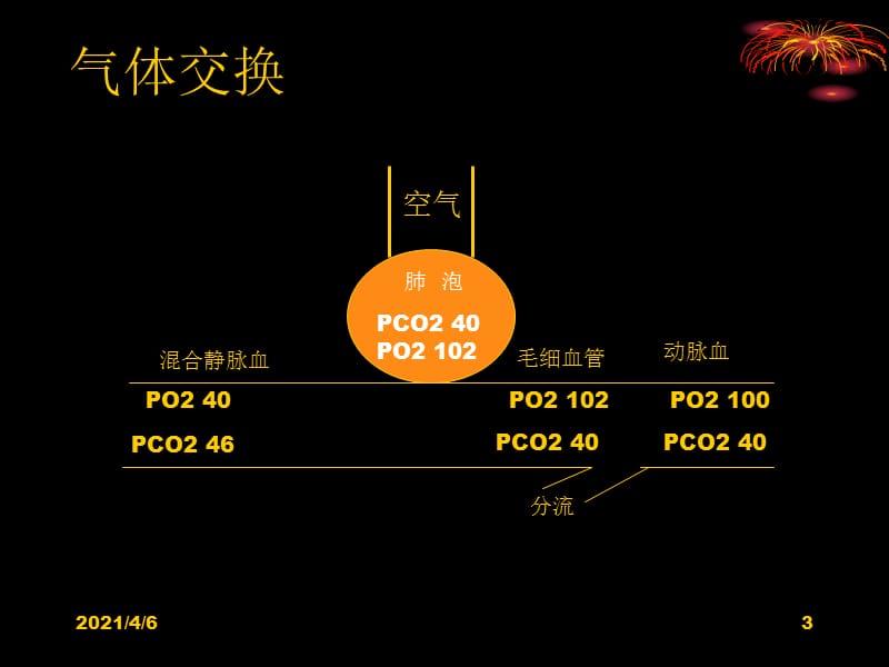 解读肺功能及血气分析-文档资料.ppt_第3页