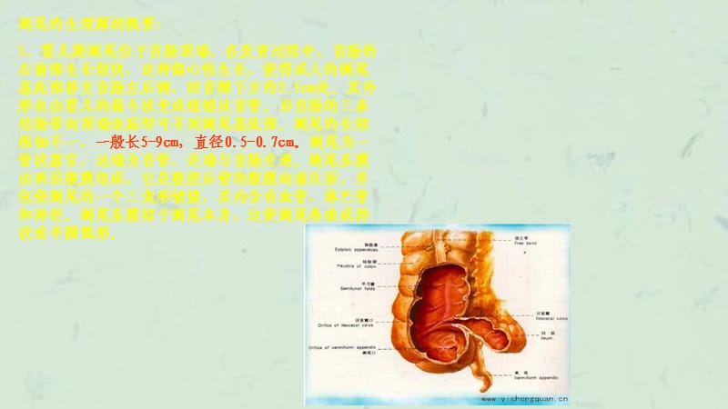 阑尾炎超声诊断课件.ppt_第2页