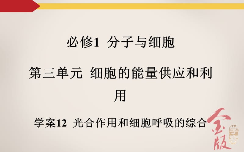 学案光合作用和细胞呼吸的综合PPT演示课件.ppt_第2页