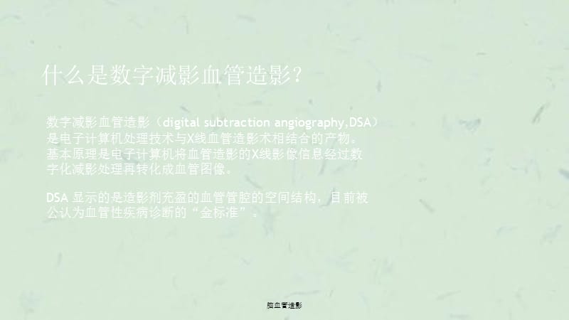 脑血管造影课件.ppt_第2页