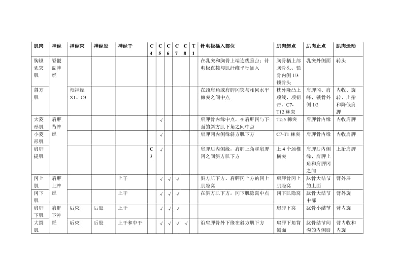 肌肉的神经支配.doc_第1页