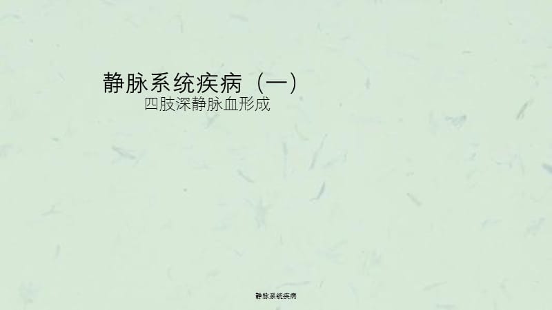 静脉系统疾病课件.ppt_第1页