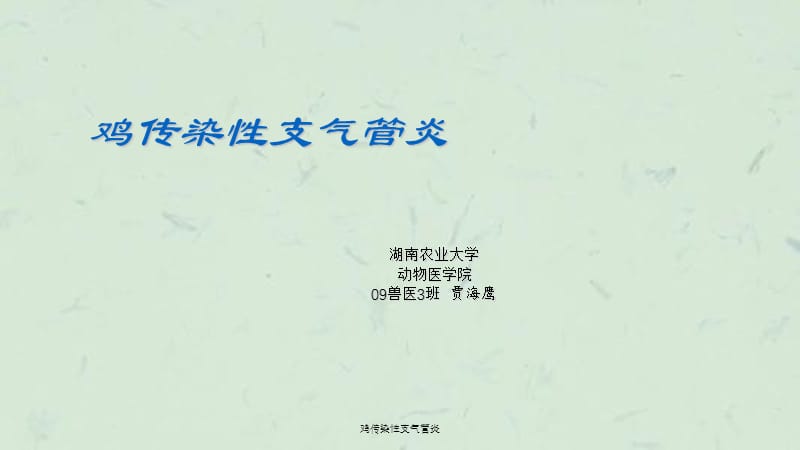 鸡传染性支气管炎课件.ppt_第1页