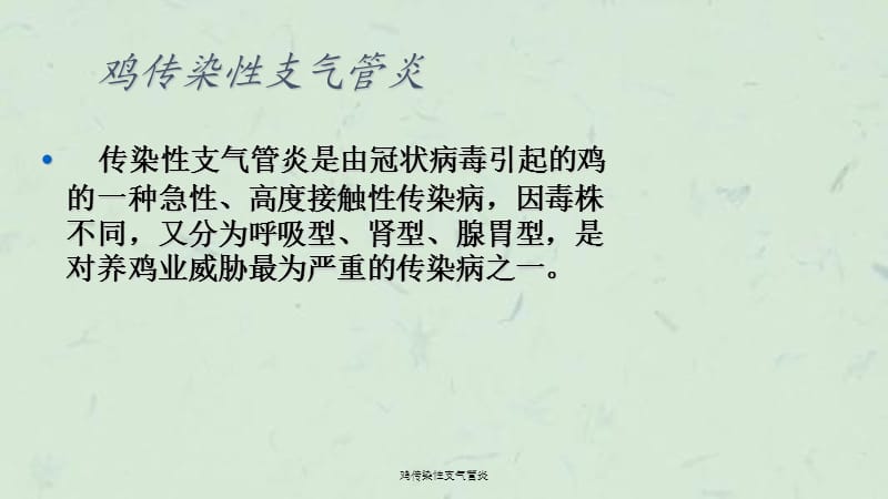 鸡传染性支气管炎课件.ppt_第2页