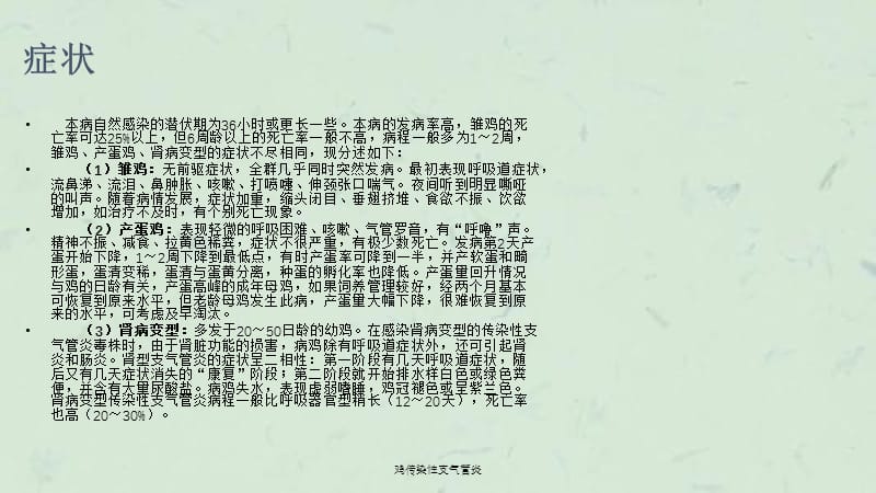 鸡传染性支气管炎课件.ppt_第3页