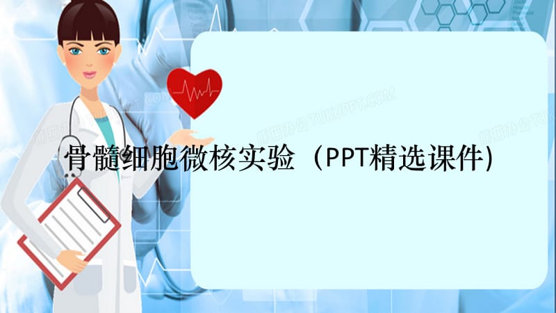 骨髓细胞微核实验（PPT精选课件)（精选干货）.ppt_第1页