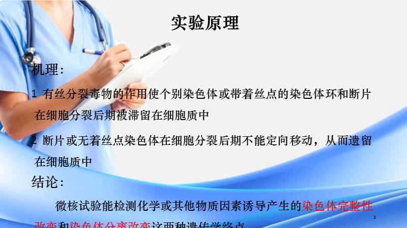 骨髓细胞微核实验（PPT精选课件)（精选干货）.ppt_第3页