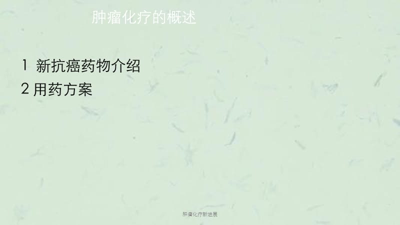 肿瘤化疗新进展课件.pptx_第2页