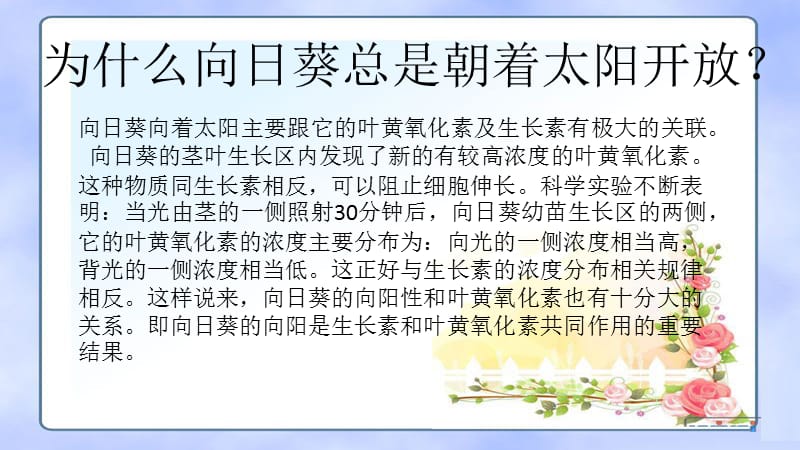 人教版三年级语文下册《一组语文园地一宽带网》优质课课件_11.pptx_第2页