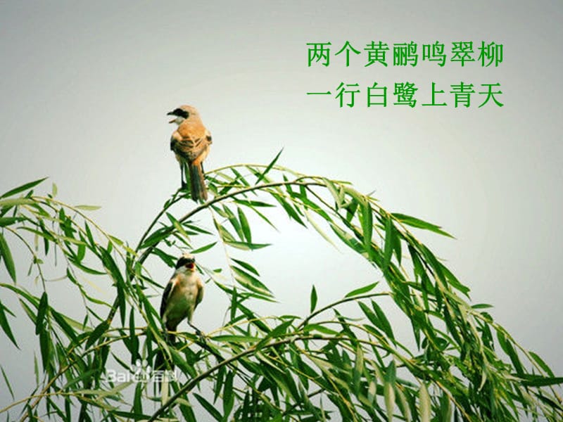 第三章_动物在生物圈中的作用(新人教版生物八年级改进版).ppt_第1页