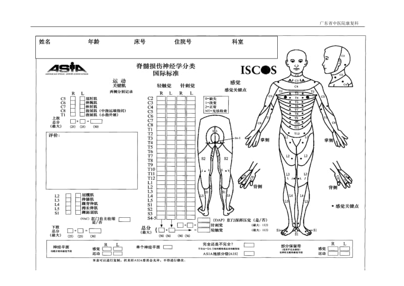 脊髓损伤评估表.doc_第1页