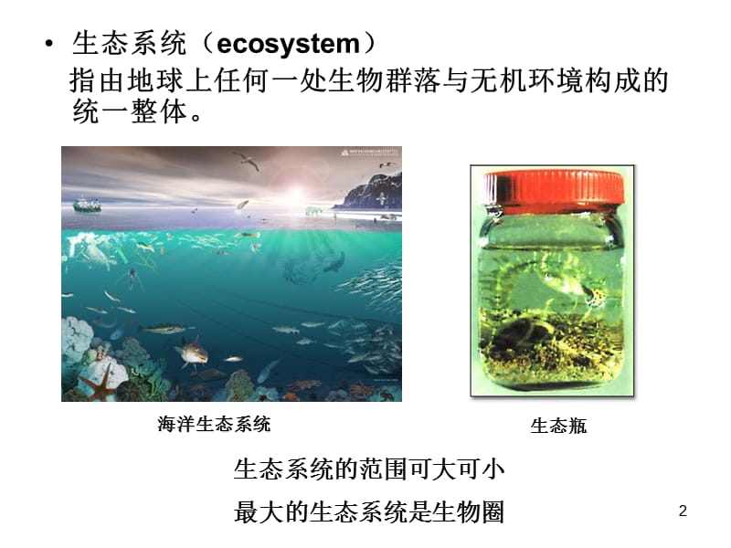 动物在生物圈中的作(课堂PPT).ppt_第2页