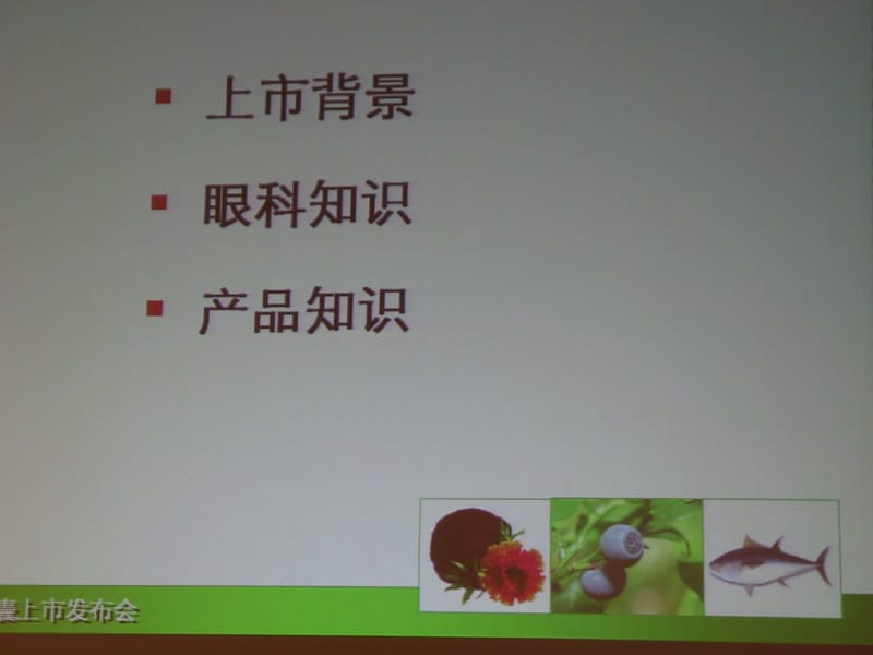 越橘益视胶囊.ppt_第1页