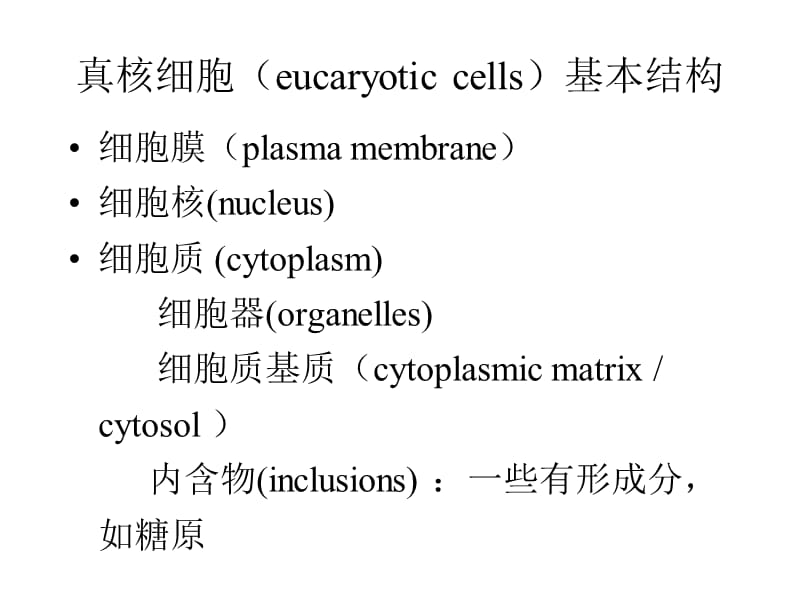 大学细胞生物学——第五章__细胞的内膜系统(课堂PPT).ppt_第2页