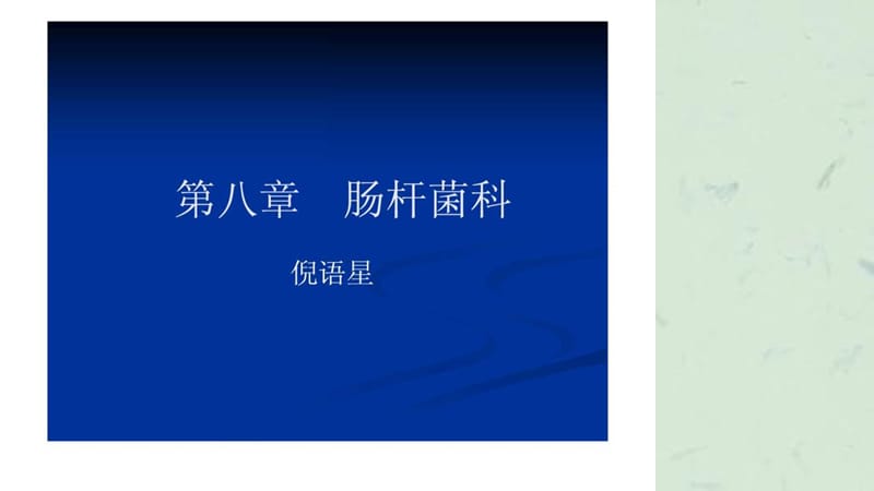 肠杆菌科的细菌课件.ppt_第1页