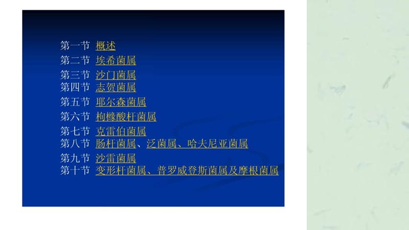 肠杆菌科的细菌课件.ppt_第2页