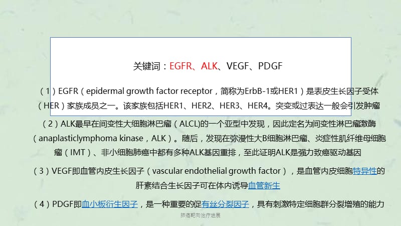 肺癌靶向治疗进展课件.pptx_第3页