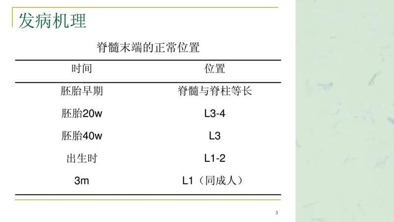 脊髓栓系综合征课件.ppt_第3页