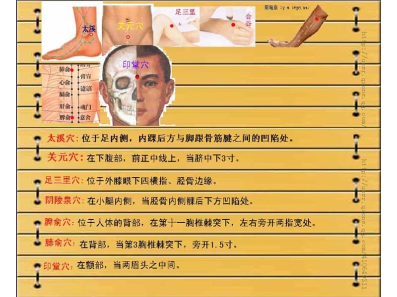 经络治病.ppt_第3页