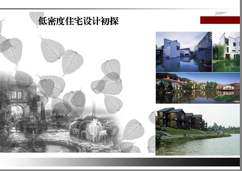 低密度住宅课题研究(课堂PPT).ppt_第1页