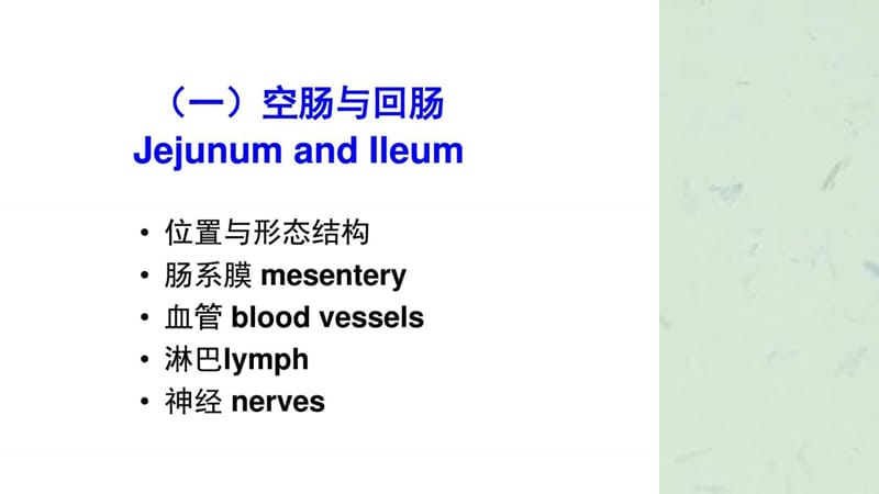 结肠下区课件.ppt_第3页