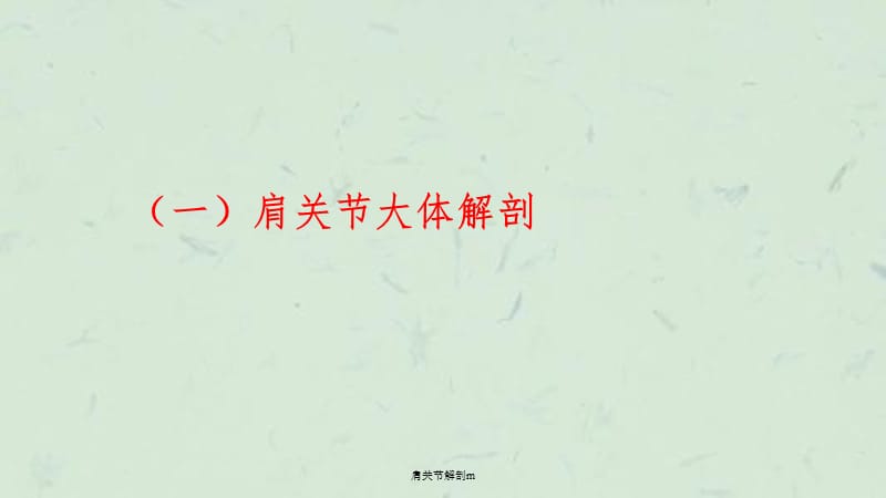 肩关节解剖m课件.ppt_第1页