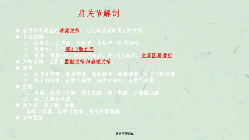 肩关节解剖m课件.ppt_第2页