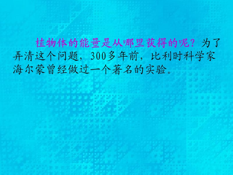 植物与能量2.ppt_第3页