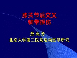 膝关节镜下后交叉韧带重建术.ppt