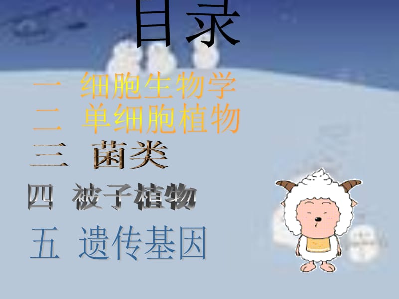 生物研究性学习.ppt_第3页