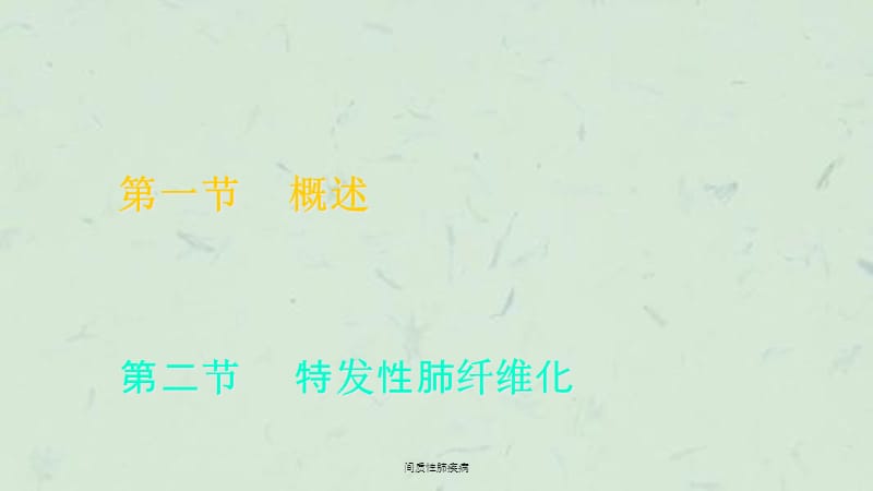 间质性肺疾病课件.ppt_第2页