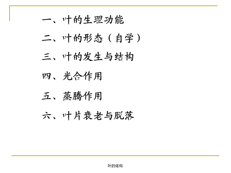 叶的结构优秀课件.ppt_第2页